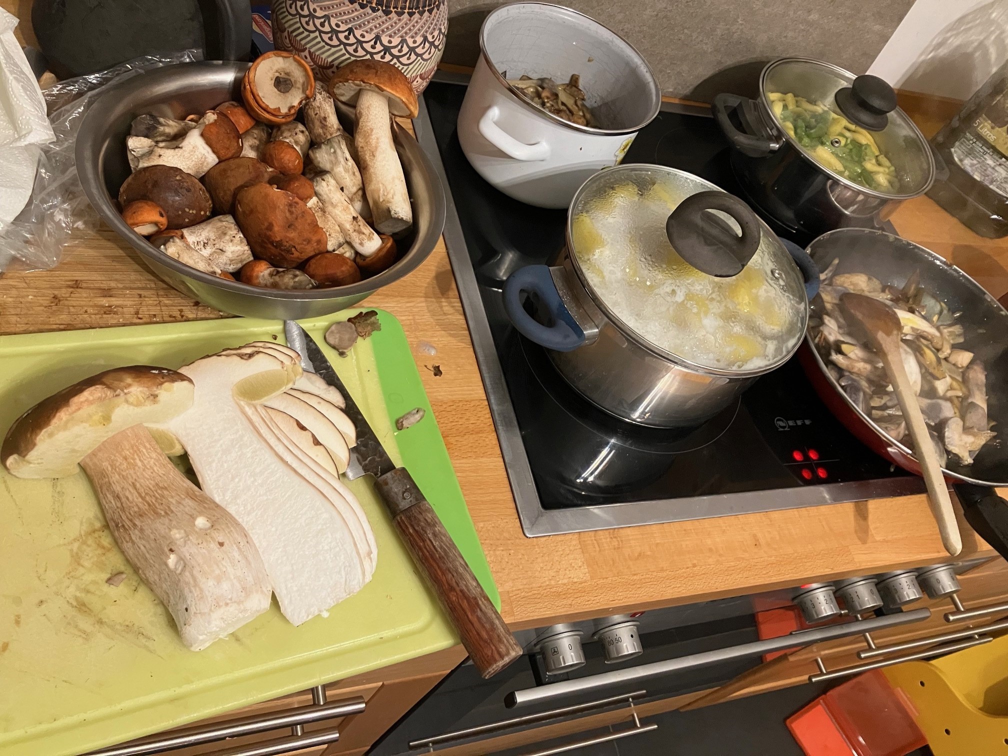 In der Pilzküche ist allerhand los; Foto Andreas 5.10.24 In der Pilzküche ist allerhand los; Foto Andreas 5.10.24