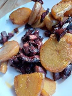 Kupferrote Gelbfüße nach dem raten; Foto Heidrun 24.9.25 