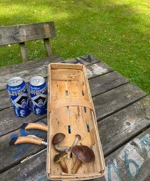 Mitleiderregendes Sammelergebnis; Foto Dirk 29.9.25 Mitleiderregendes Sammelergebnis; Foto Dirk 29.9.25