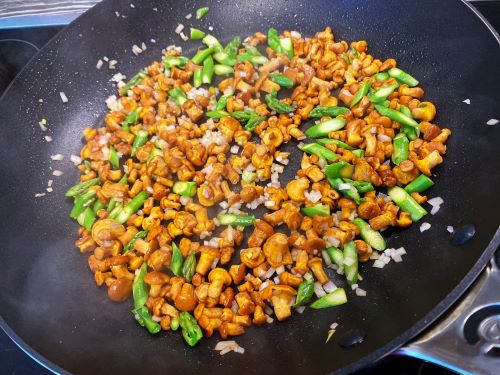 Nudelsalat Orecchiette mit Pfifferlingen und grünen Spargelspitzen; Foto Stefan 9.7.24