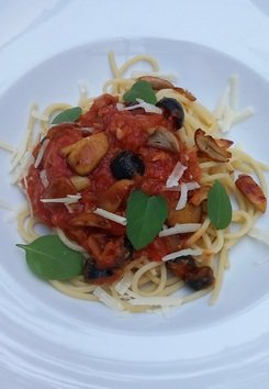 Pasta Michael 11.6.23