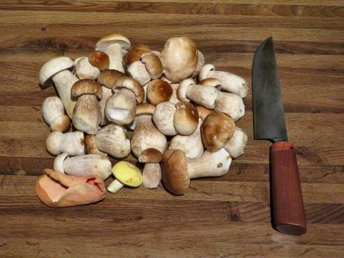 Steinpilze, Eselsohr und Pfirsichtäubling für Pilz-Nudelgericht; Foto Michael 24.10.25 Steinpilze, Eselsohr und Pfirsichtäubling für Pilz-Nudelgericht; Foto Michael 24.10.25