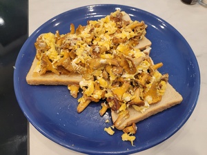 Pfifferlinge mit Ei auf Toast; Foto Onno 29.8.23 Pfifferlinge mit Ei auf Toast; Foto Onno 29.8.23