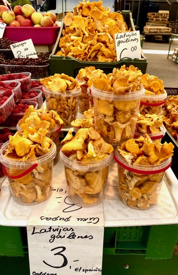 Pfifferlinge sind gefragt. Es gibt sie lose oder abgepackt in Eimerchen. (Foto © Thomas H.) 18.9.2022 Pfifferlinge sind gefragt. Es gibt sie lose oder abgepackt in Eimerchen. (Foto © Thomas H.) 18.9.2022