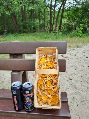 Pfifferlings-Spankorb mit Heavy-Metal-Bier; Foto Dirk 15.7.24