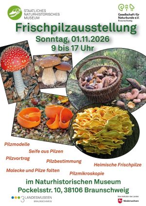 Frischpilzausstellung am 1. November 2026 Frischpilzausstellung am 1. November 2026
