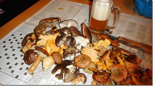 Pilze putzen beim Bier; Foto Hermann 31.10.23