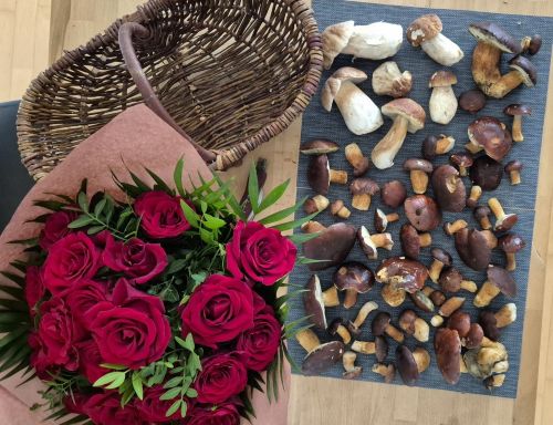 Rosenstrauß und Pilzfund; Foto Tim 25.10.25 Rosenstrauß und Pilzfund; Foto Tim 25.10.25