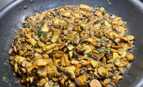 Bunter Pilzkorb; Foto Baeri 26.10.25 Bunter Pilzkorb; Foto Baeri 26.10.25