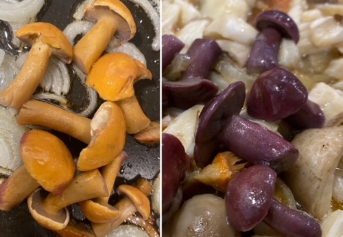 Bunte Pilzpfanne; Foto Volkmar 28.10.23 Bunte Pilzpfanne; Foto Volkmar 28.10.23