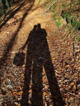 Pilzfreunde werfen lange Schatten; Foto Stefan 4.11.24