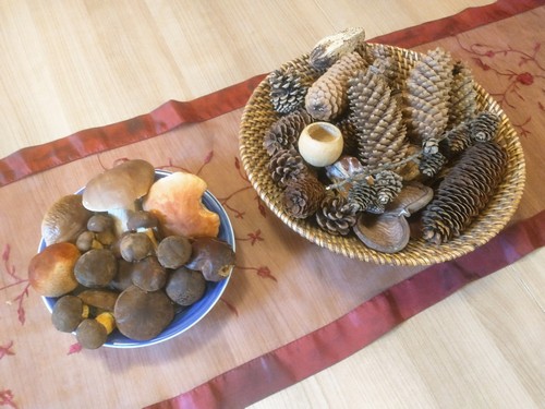 Pilzteller und Zapfenteller; Foto Michael 30.9.23 Pilzteller und Zapfenteller; Foto Michael 30.9.23