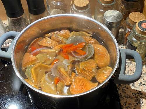 In Olivenöl eingelegte Reizker; Foto Uwe 30.9.23 In Olivenöl eingelegte Reizker; Foto Uwe 30.9.23