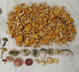 Restfund; Michael 27.8.23 Restfund; Michael 27.8.23