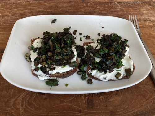 Röhrlinge zu Emmerbrot; Patrick 15.8.23 Röhrlinge zu Emmerbrot; Patrick 15.8.23