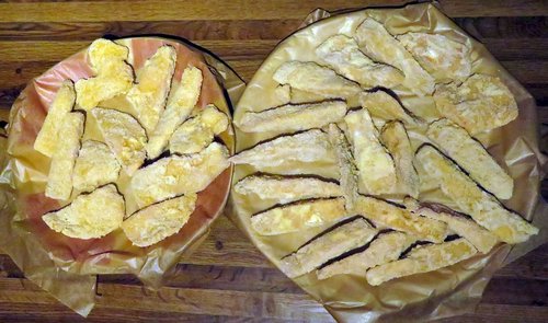 Schwefelporling vor dem Ausbacken; Foto Michael 17.4.24 Schwefelporling vor dem Ausbacken; Foto Michael 17.4.24