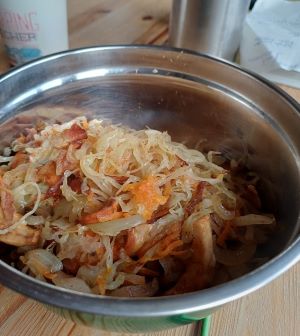 Semmelstoppelpilze mit Sauerkraut; Foto Heidrun 13.9.25