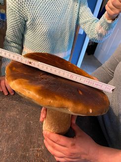 Steini1 Anja 28.9.22 Steini1 Anja 28.9.22