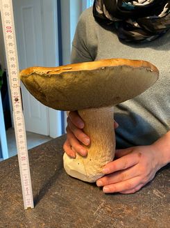 Steini2 Anja 28.9.22 Steini2 Anja 28.9.22