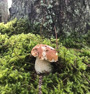 Steini Ines 4.10.22 Steini Ines 4.10.22