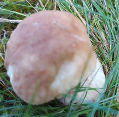 Steini Maria 10.8.23 Steini Maria 10.8.23