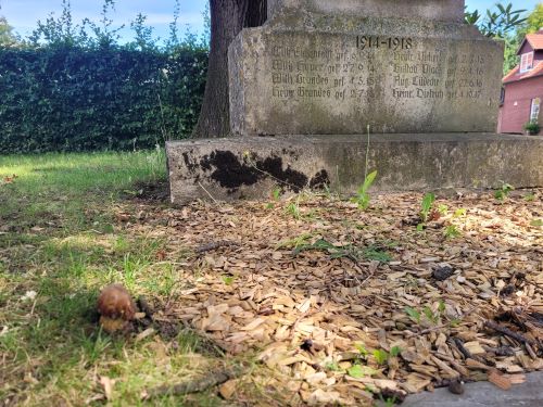 Steinpilz vor Kriegsgefallenendenkmal; Foto Verena 18.7.24
