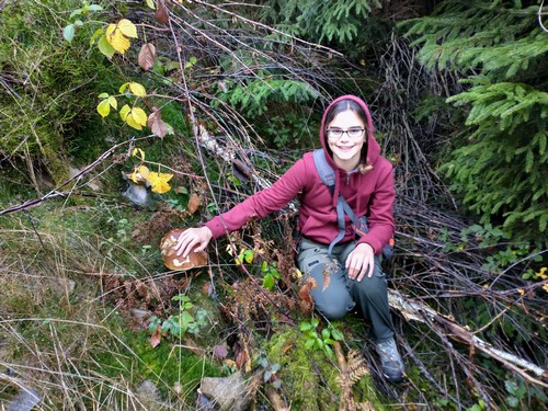 Handauflegen beim Steinpilz Michael 7.8.23 Handauflegen beim Steinpilz Michael 7.8.23
