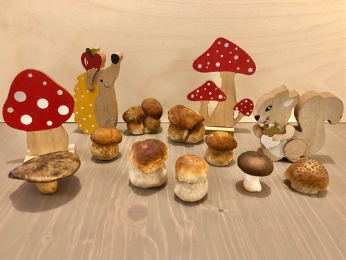 Steinpilze HOlzpilze Thomas 8.10.22 Steinpilze HOlzpilze Thomas 8.10.22