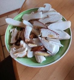 Geschnittene Steinpilze; Foto Ivanka 13.11.25