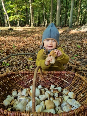 Töchterchen mit Steinpilzkorb (Foto © Daniel) 30.9.22 Töchterchen mit Steinpilzkorb (Foto © Daniel) 30.9.22