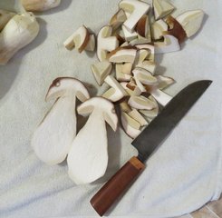 Steinpilzscheiben Michael 30.9.22