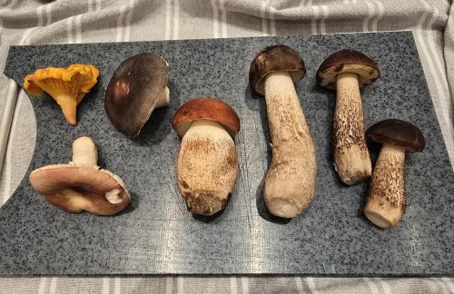 Teilfund mit Teilfund mit