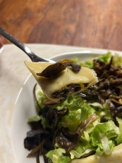 Fülling von Herbsttrompeten in Ravioli; Foto Patrick 4.11.25