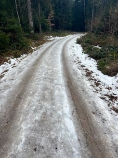 Vereister Waldweg beim Zugang zu den Spitzmorcheln; Foto Heiko 25.1.26