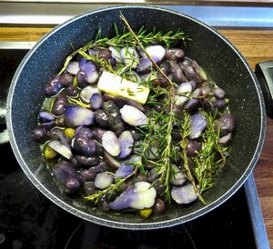 Violette Rosmarinkartoffeln; Foto Michael 29.9.23 Violette Rosmarinkartoffeln; Foto Michael 29.9.23
