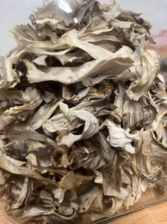 Vor dem Trocknen; Foto Arnold 15.10.23 Vor dem Trocknen; Foto Arnold 15.10.23