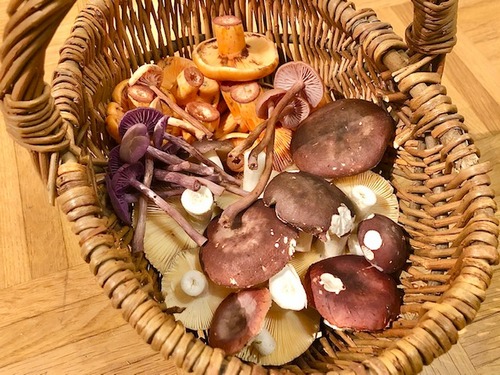 Korb2 Thomas 3.10.22 Korb2 Thomas 3.10.22